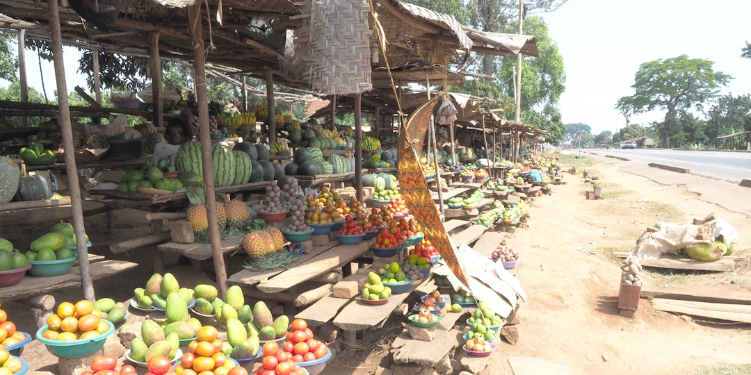 Uganda Gorilla Trekking Abenteuer