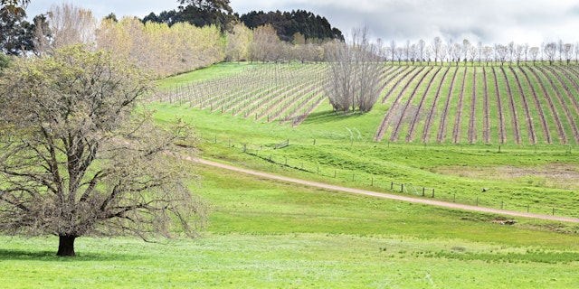 Margaret River-5