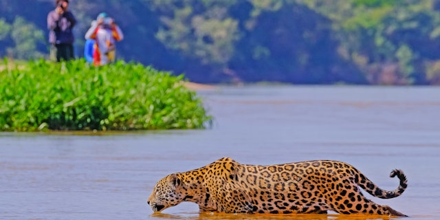 Cuiaba-2