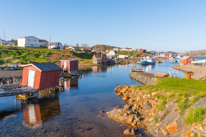 Circuit à Terre-Neuve : aventure et nature - Image 4