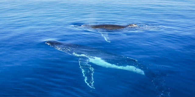 Fraser Island-7