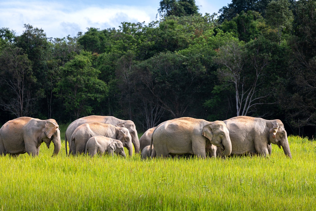 Thailand-Rundreise 3 Wochen: Dschungel & Inselparadies