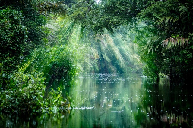 Tortuguero-0