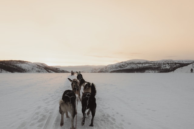 Kirkenes-1