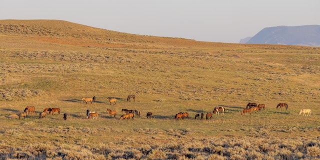 Rock Springs-2