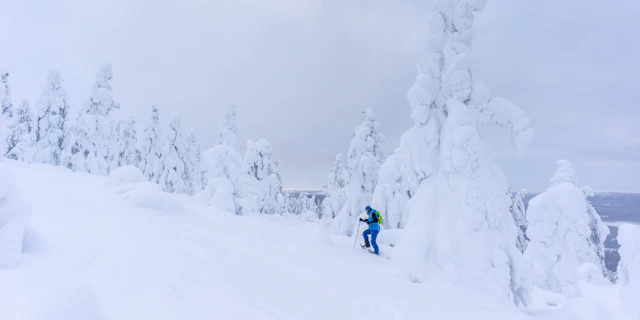 Pyhä-Luosto National Park-4