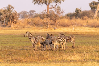 Autotour en Namibie et au Botswana - Image 4
