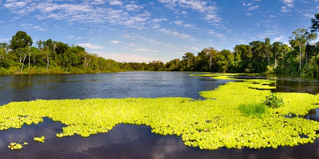 Pacaya-Samiria National Reserve-1