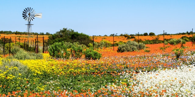 Namaqualand-0