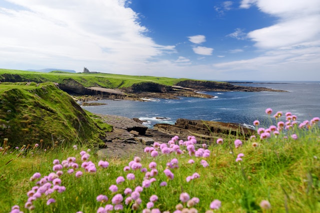 Sligo-2
