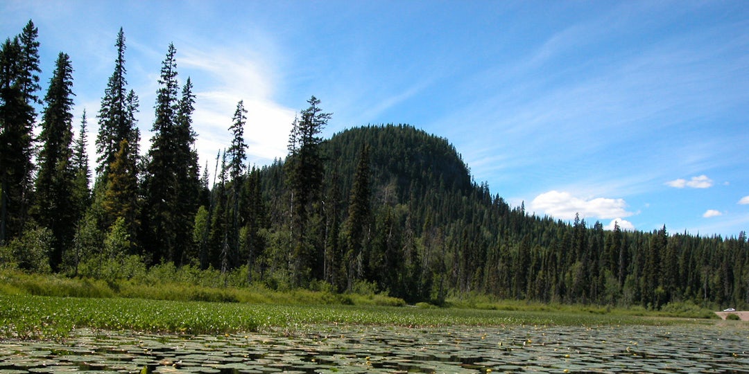 Rundreise durch British Columbia: Große Wildnis