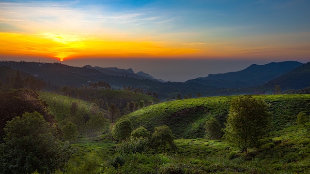 Ooty-3