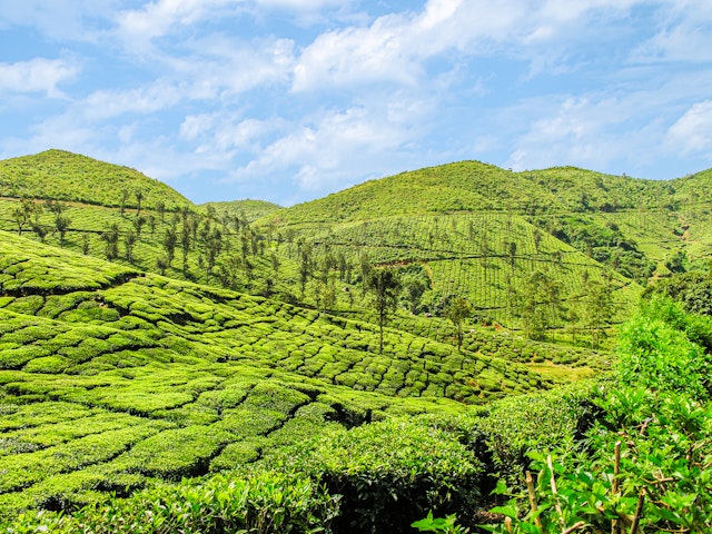 Ooty-2