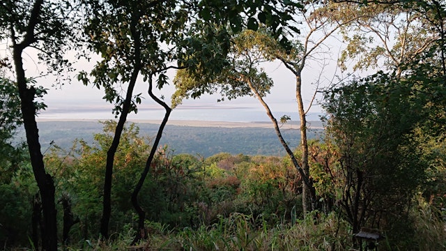 Kirurumu Manyara Lodge