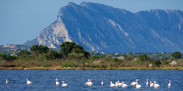 San Teodoro-1