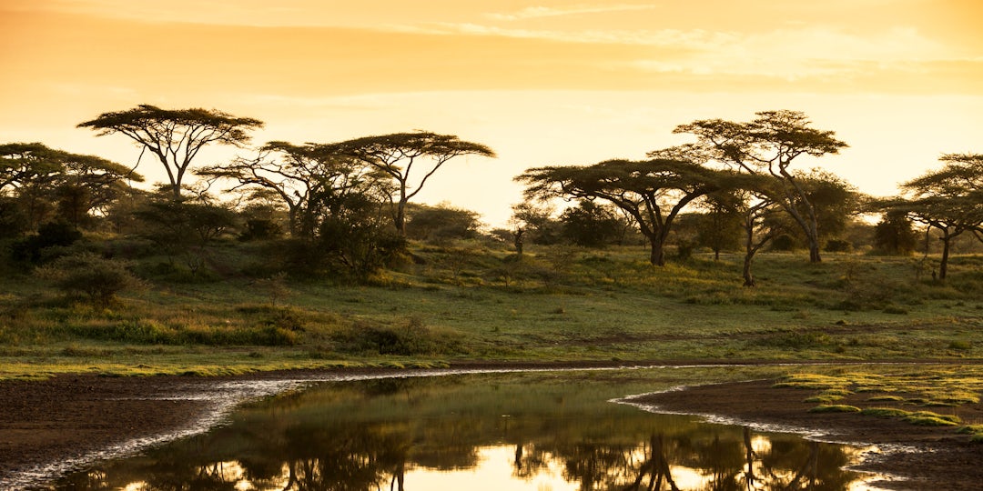 Aventure Tanzanienne Inoubliable: Explorez!