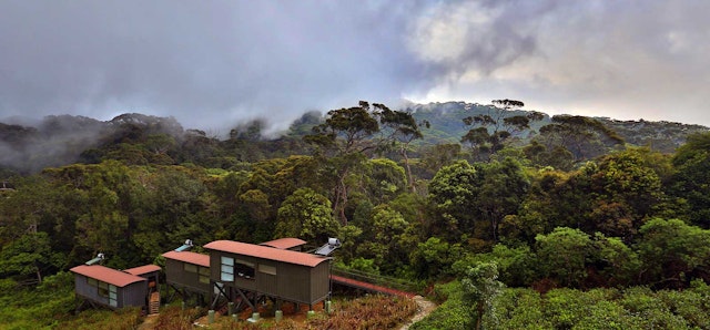 The Rainforest Ecolodge