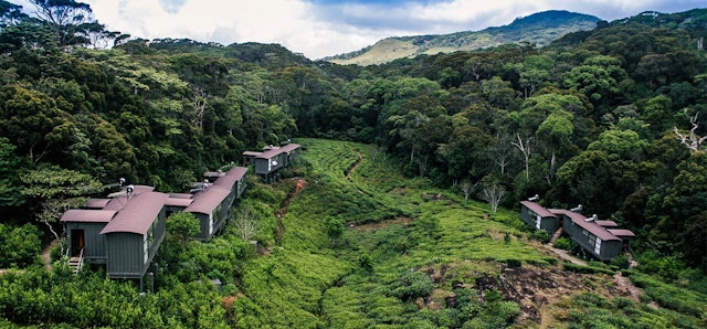 The Rainforest Ecolodge