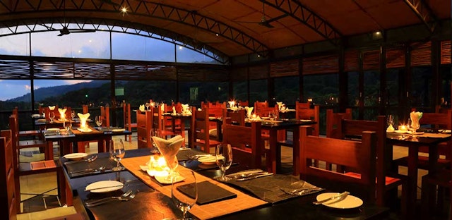 The Rainforest Ecolodge