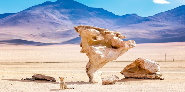 Siloli Desert-0