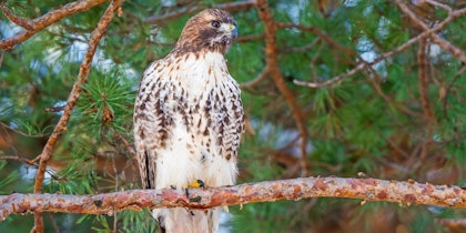 Kanada-Rundreise 9 Tage: Bezauberndes Ontario - Image 3