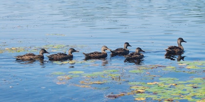 Kanada-Rundreise 9 Tage: Bezauberndes Ontario - Image 4