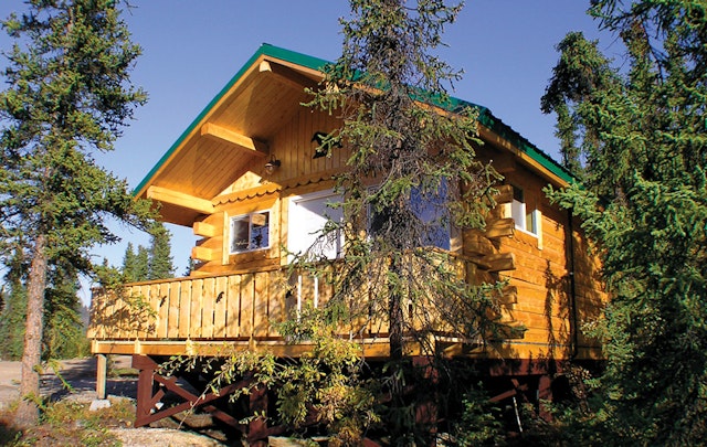 Denali Grizzly Bear Resort