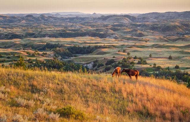 Medora-6