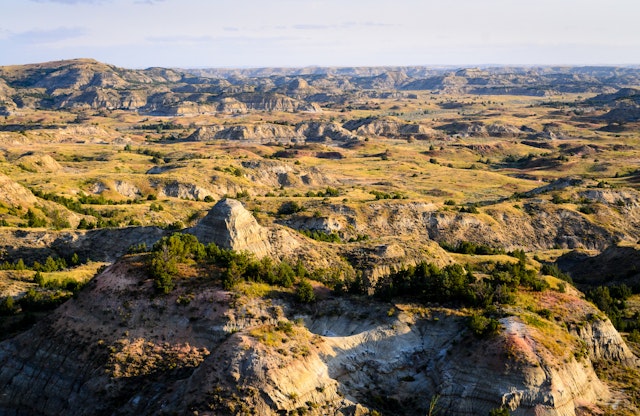 Medora-1