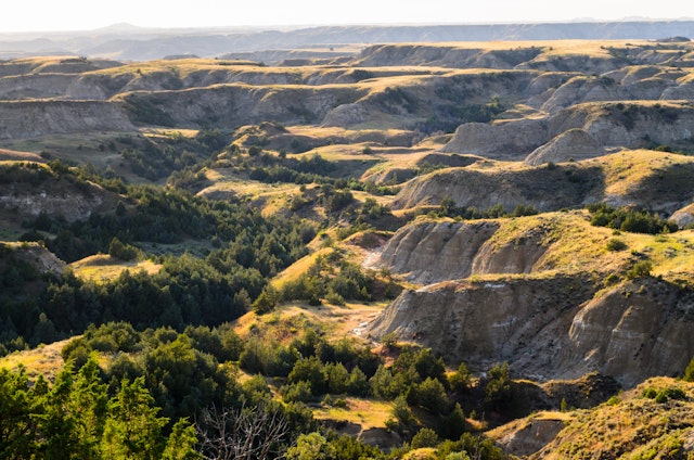 Medora-5