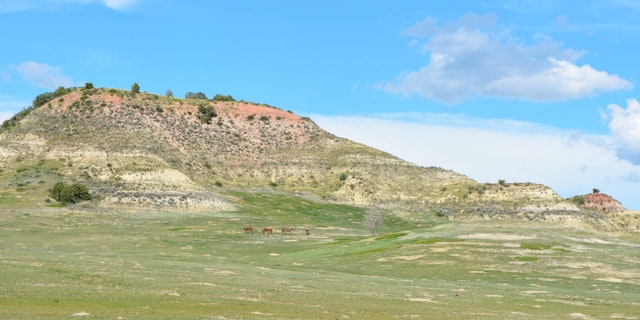 Medora-2