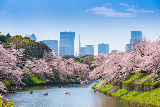 Tokio-3