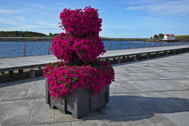 Brønnøysund Gjestehavn