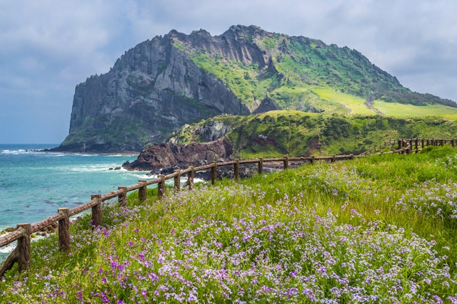 Jeju-1