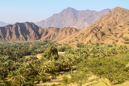 Emirate Rundreise und Baden am Persischen Golf - Image 4