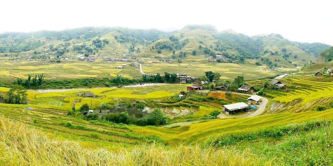 Circuit au Vietnam du nord au sud