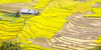 Circuit au nord du Vietnam - Image 2