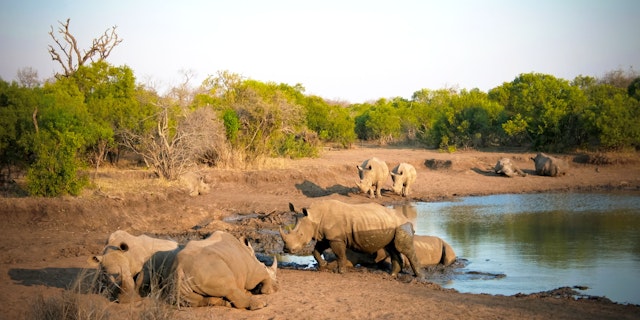 St. Lucia: Wildnis, Reservate und königliche Parks