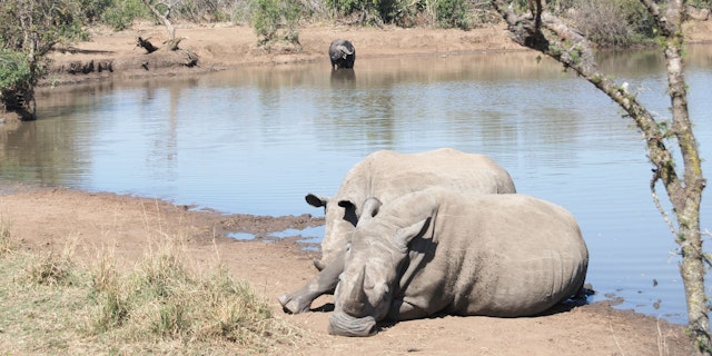 Mkhaya Game Reserve-0