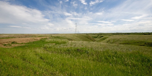 Brooks-1