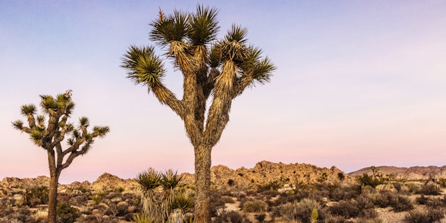 Victorville-4