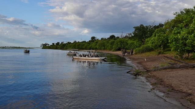 Chobe River Front-3
