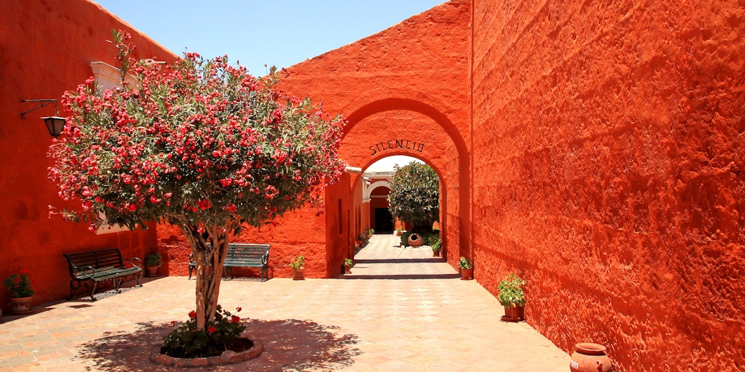 Peru Amazonas private Tour