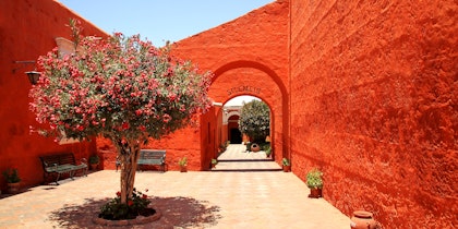 Peru Rundreise 2 Wochen: Highlights von Cusco bis Machu Picchu erleben - Image 2