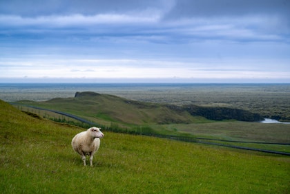 Circuit en Islande de 8 jours - Image 4