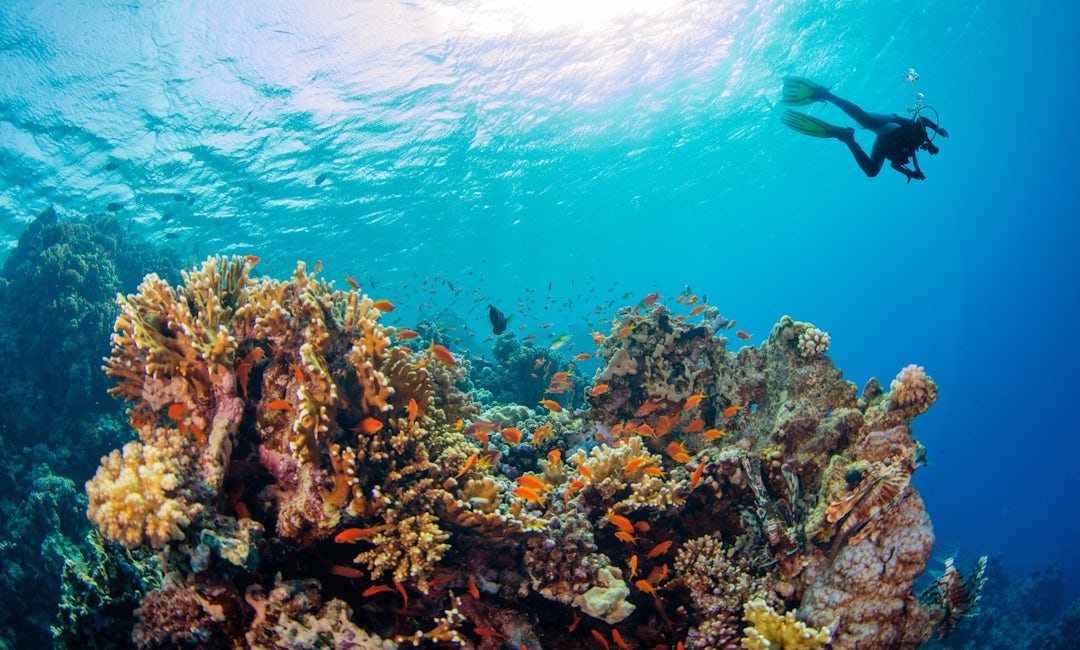 Seychelles : 11 jours au paradis