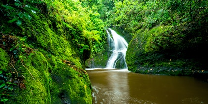 Cook Island Strandurlaub - Image 2
