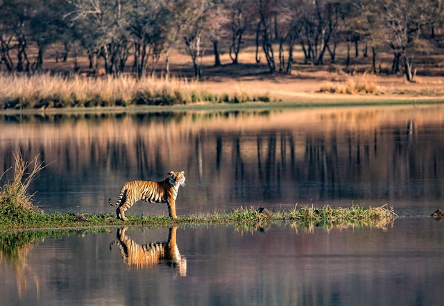 Ranthambore National Park-6