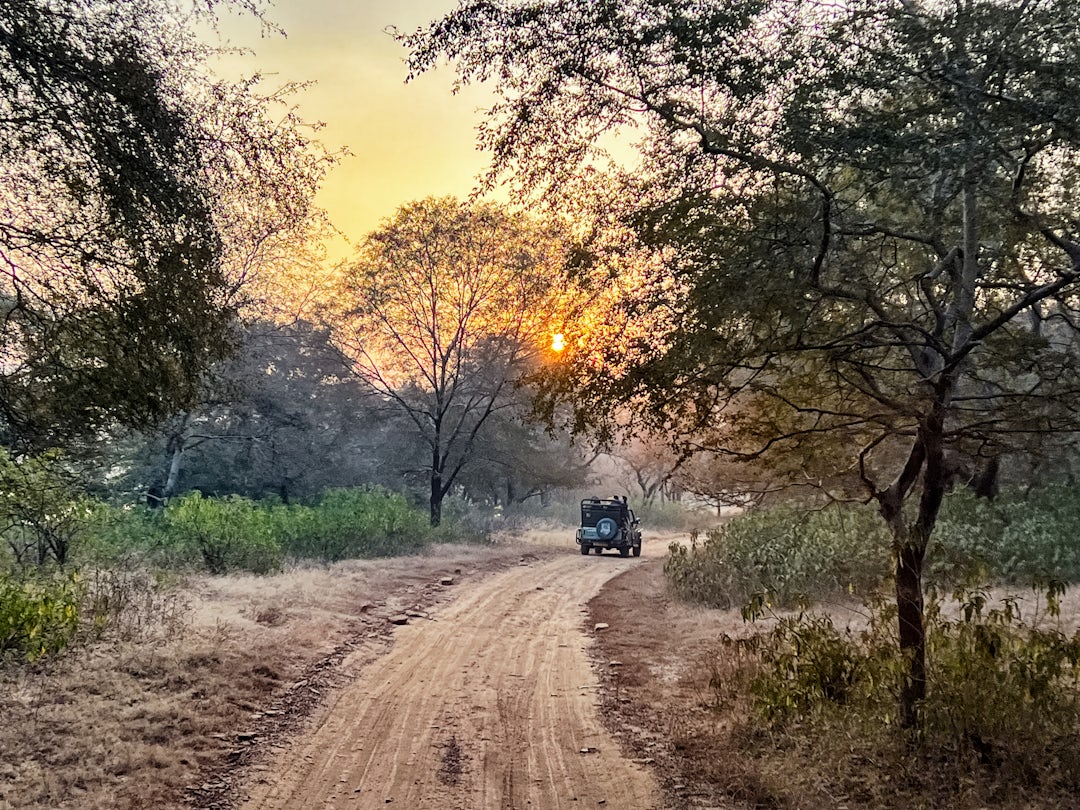 Indien Rundreise: Rajasthan, Taj Mahal, Pink City & Paläste 