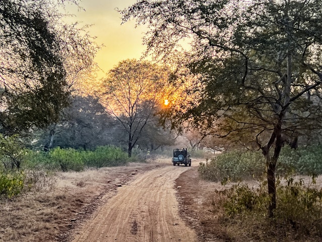Ranthambore National Park-2